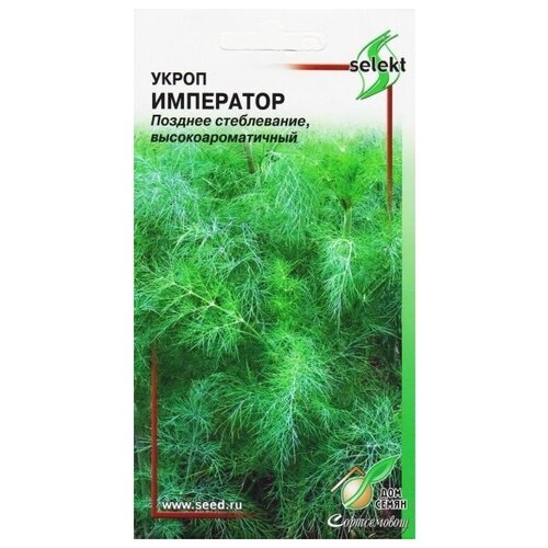 ���������� ������ ��� ����� ����� ���������, 1100 ��