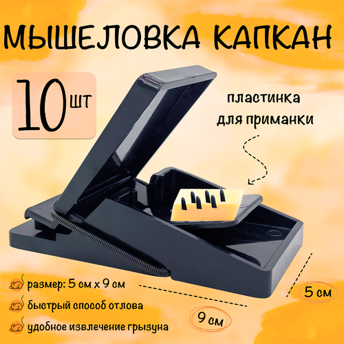 ���������� ��������� ������ �����������, ������� ��� �����, ��������, ����� ���, ������� �������, ������, 10 ����