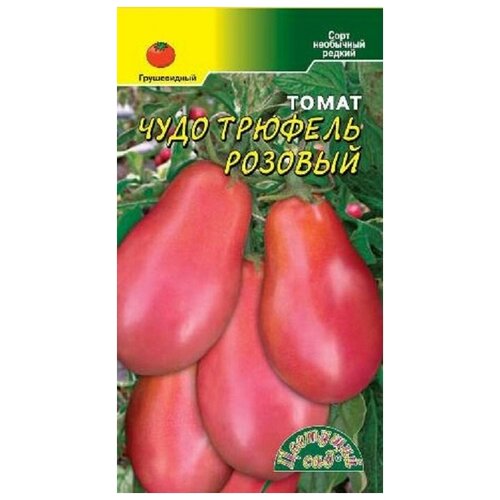 ���������� ������ �������� ��� 