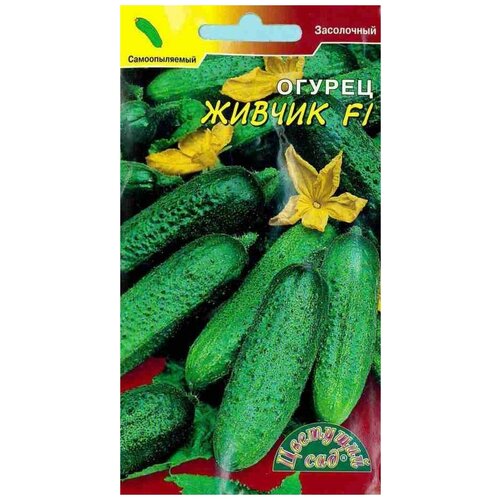 ���������� ������ �������� ��� 