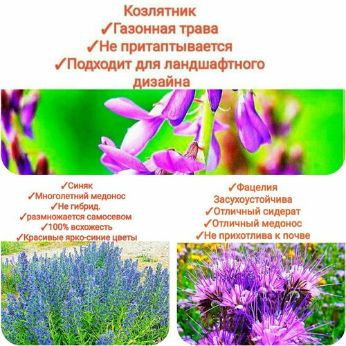 ���������� ����� ���������� ����/���������,600�� (�������+�����+���������),