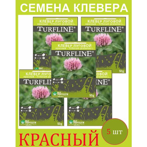        Trifolium Protense L TURFLINE DLF 0.25  (0,05 . - 5 .)   , -, 