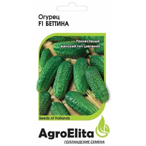 ���������� ������ ��������� 