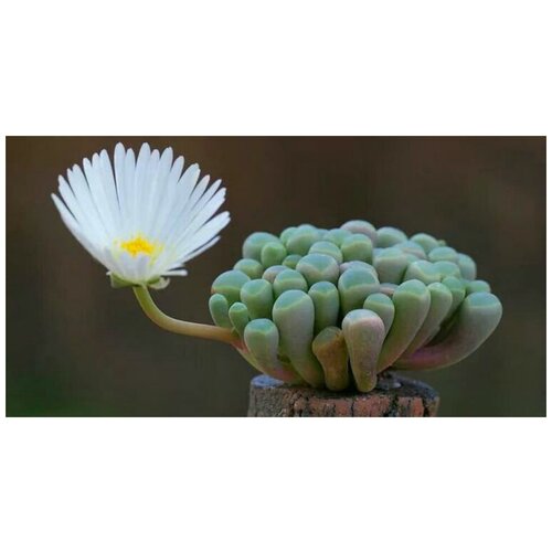 ���������� ���������� ����������� ����������� ����� �������� �����, ������ 15 ��.