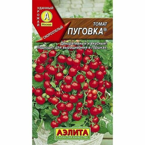 ���������� ������ ����� ������� (�����������), �����������, (������) 20��