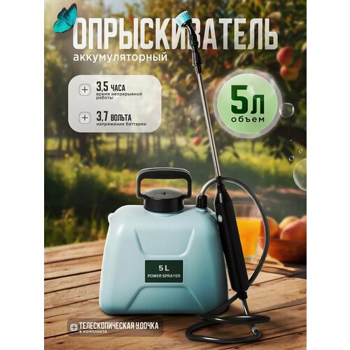 ���������� ������������� �������������� 5 ������ ������� ��� ������