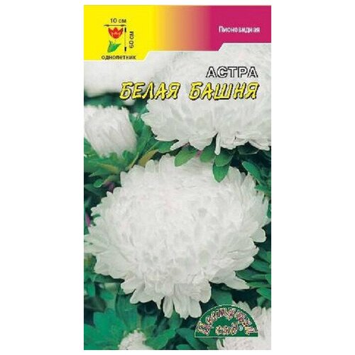 ���������� ������ �������� ��� 