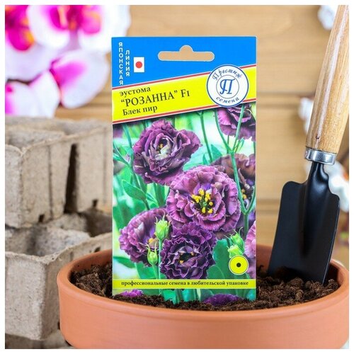 ���������� ������ ������ ������� 