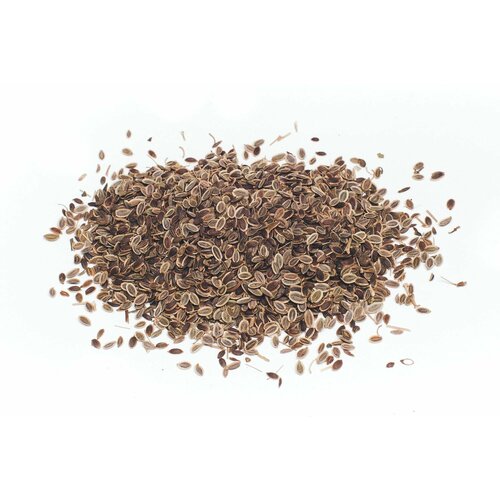 ���������� ����� ������ 1 ��