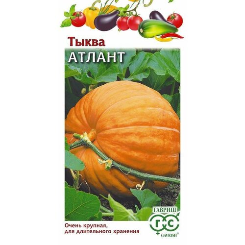 ���������� ������ ����� ������ 2,0� (������)