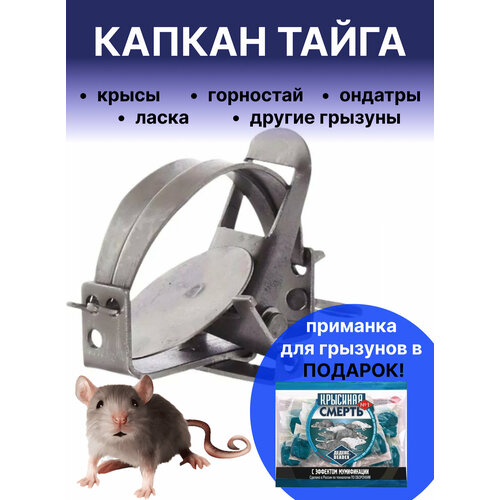 ���������� ������ ����� ������ ���������� �������� �� ��������