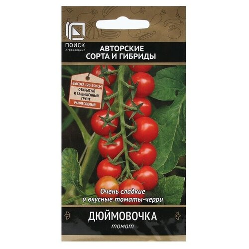 ���������� ������ ����� ���������� ����� 12�� ����� ������ (�����) �����