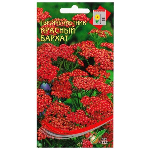 ���������� ������������� ����������� ������� �������, ������� ������, 250 �����