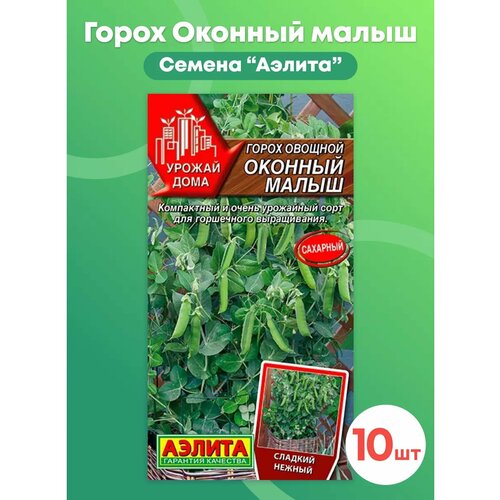 ���������� ������ ����� 