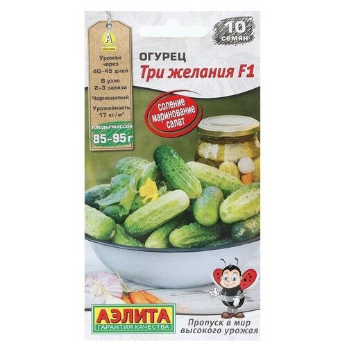 ���������� ������. ������ 