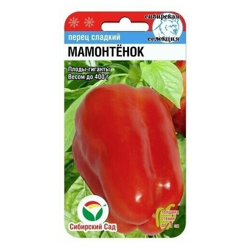 ���������� ����� ������� ���������� 15�� ����� ��������� ���