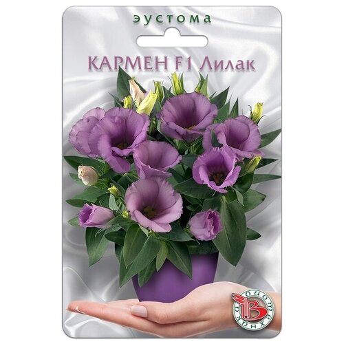 ���������� ������ ������� (���������) 