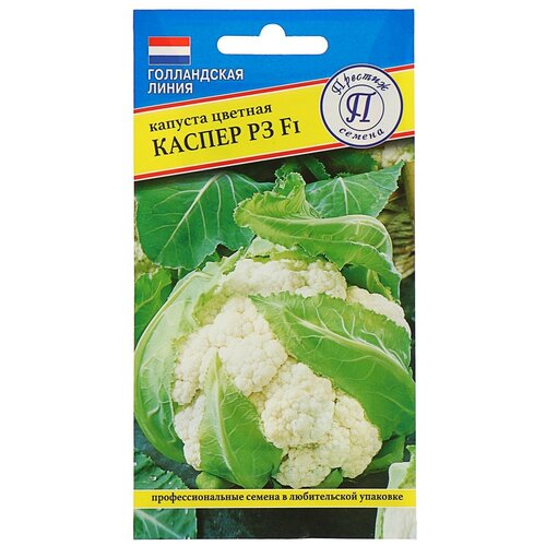 ���������� ������ ������� ������� 