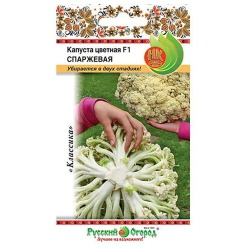 ���������� ������. ������� ������� F1 