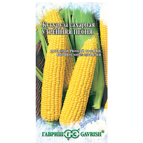 ���������� ������ �������� �������� ����� F1 �������� 5� ������ (������) ��������