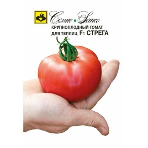 ���������� ������ ����� ������ F1 5�� ����� ������ (�����)