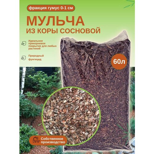 ���������� ����� �����. ������ �� ���� �������� (0-1 ��) �������, 60 �. �������� 5��