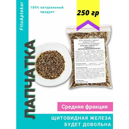 ���������� �������� ����� 