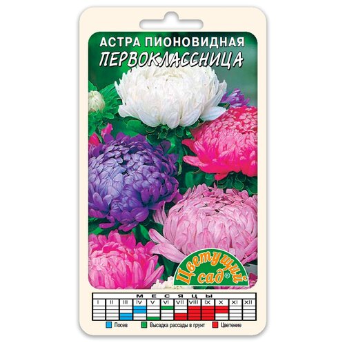 ���������� ������ �������� ��� 