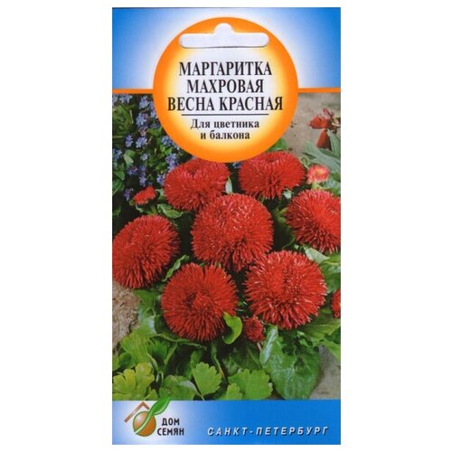 ���������� ���������� ����������� ����� �������, 250 �����