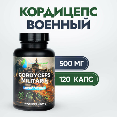 ���������� ��������� ������� (�������� ����)-120������ �� 500��