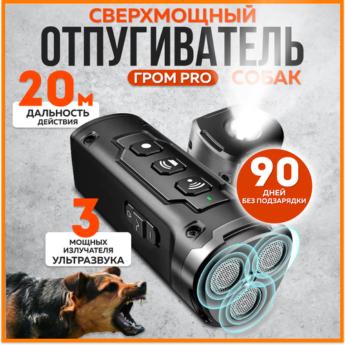 ���������� �������������� ������������ ����� ���� pro