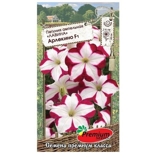 ���������� ������ ������ ������� ��������� ������ �������� F1, �, 10��, 3 ��������