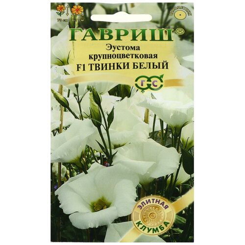 ���������� ������ ������ ������� 