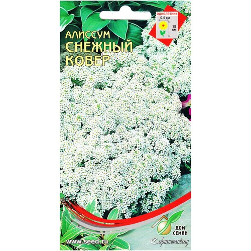 ���������� ������� ������� �����, 180 �����