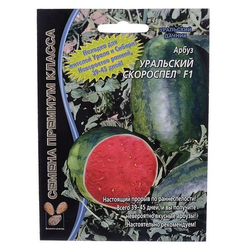 ���������� ������ ����� 