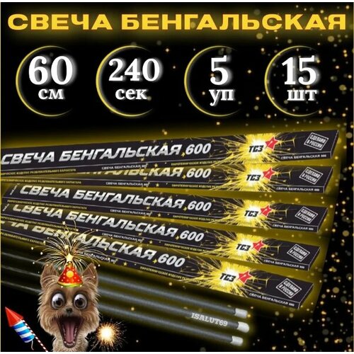 ���������� ����������� ����� ��� 60, 5 �������� �� 3 �����, 15 ����, ����� ������� 240 ������