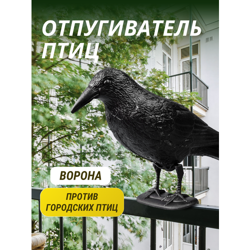 ���������� ������������ ���� ������