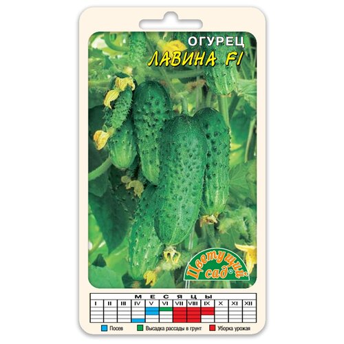 ���������� ������ �������� ��� 