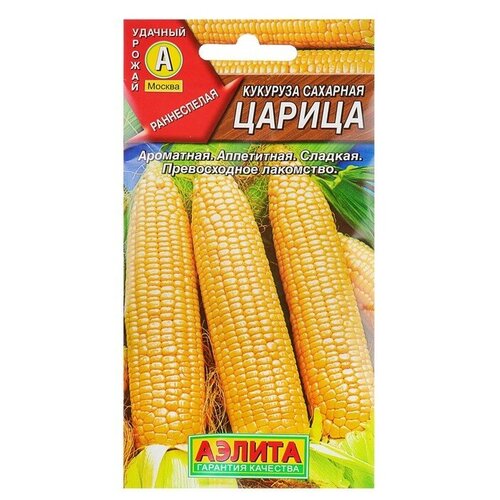 ���������� ������ �������� �������� 