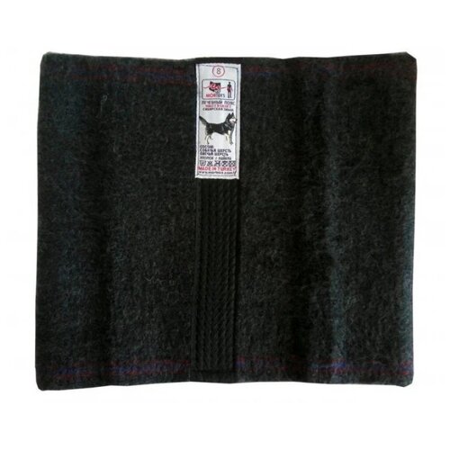 ���������� Morteks ���� �� �������� ������ 8, ������