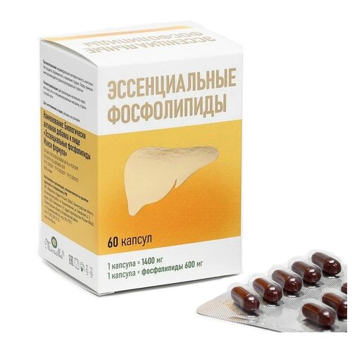 ���������� ������������� ����������� ����� ������� ����., 1.4 �, 60 ��., 1 ��.