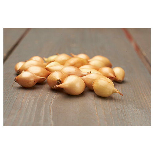 ���������� ��� - ����� ������ ����� (������) 100�� �������