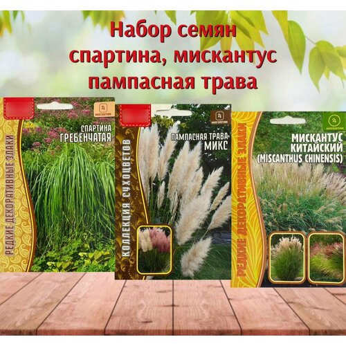 ���������� ������ ����������� �������� ��� ���� ��������� ��������� ����� � �������� ����� 3 ��.