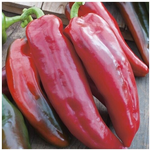 ���������� ������ ������ ����� ��������� ������� 10 ��.