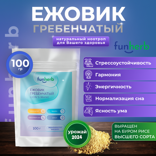 ���������� ������ ����������� ������� �������