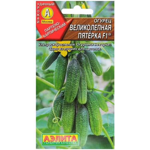 ���������� ������ ������ 