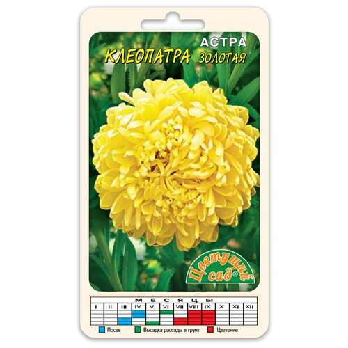 ���������� ����� ����� ��������� ������� (������ �������� ��� 0,2 �)