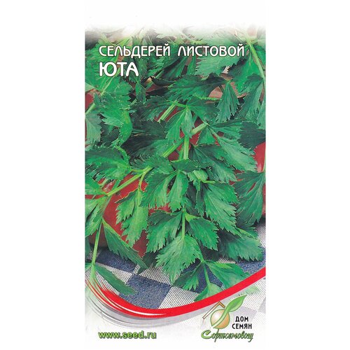 ���������� ��������� �������� ���, 1100 �����