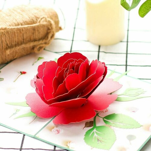 ���������� �������� �������� 3D ������� Nana Land 