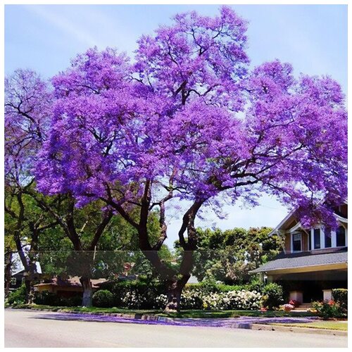 ���������� ������ ��������� ��������� ��������� �������������, 200 ��